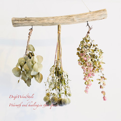 流木インテリア 無骨で古木風な天然流木のハンガーフック 流木ハンガー ハンギング ウォールデコ 北欧 N22 4枚目の画像