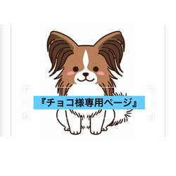 ☆羊毛フェルト☆【オーダーメイド】☆ハンドメイド☆リアル