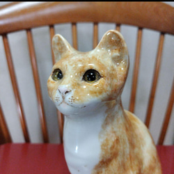 ウィンスタンレイキャット（ケンジントンキャット）サイズ4の