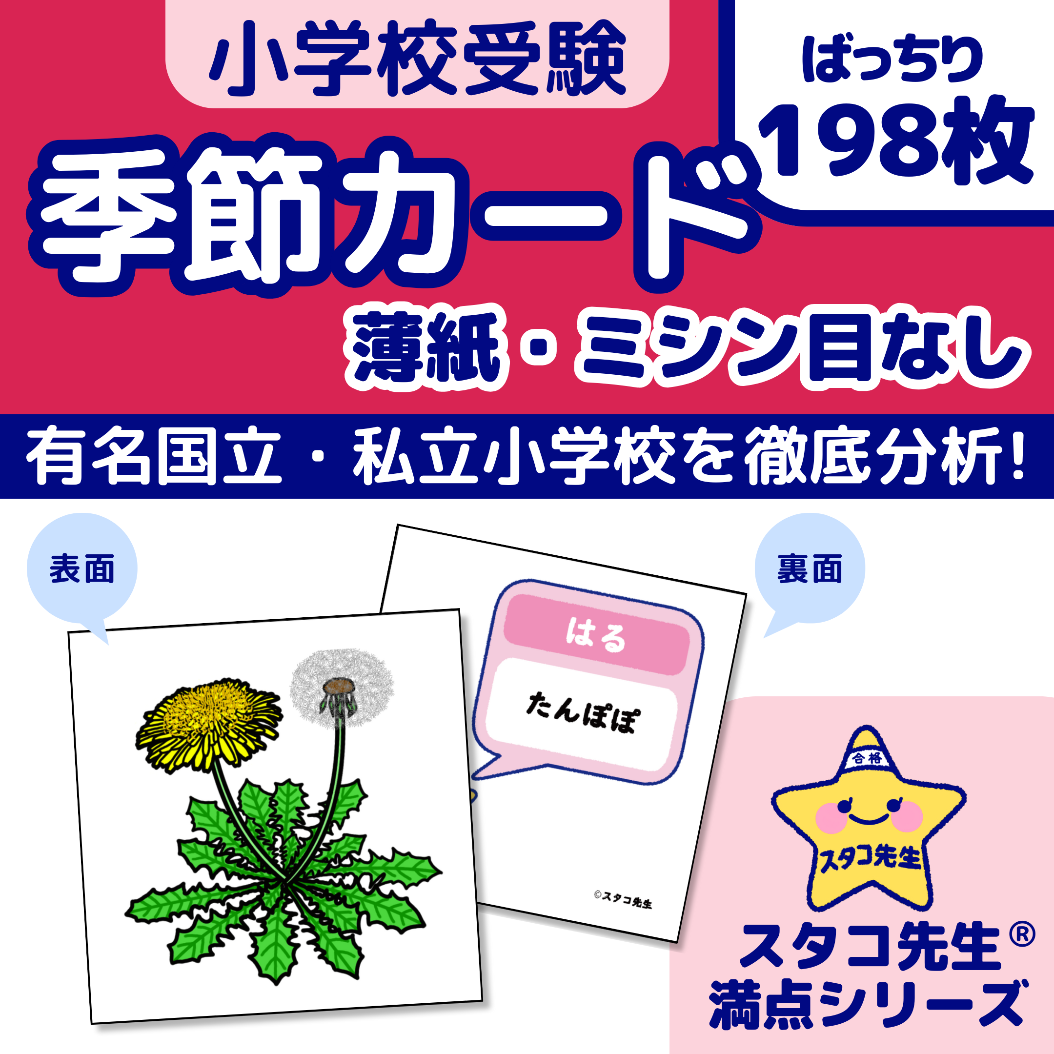 小学校受験 季節 季節カード 季節のお勉強 知育 おもちゃ・人形 スタコ
