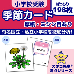 小学校受験 季節 季節カード (ミシン目あり) 季節のお勉強 知育