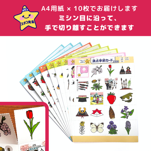 小学校受験 季節 季節カード (ミシン目あり) 季節のお勉強 知育