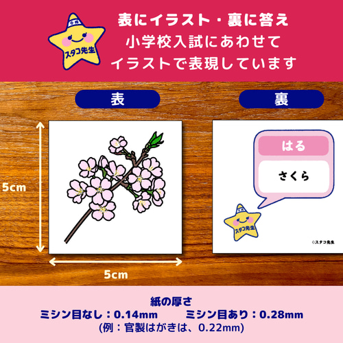 小学校受験 季節 季節カード (ミシン目あり) 季節のお勉強 知育