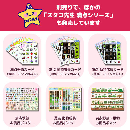 小学校受験　季節　季節カード (ミシン目あり) お風呂ポスター　季節のお勉強 小学校受験 季節 季節カード (ミシン目あり) 季節のお勉強 知育