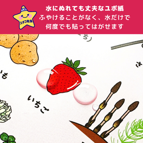 小学校受験 季節 お風呂ポスター 季節のお勉強 知育 おもちゃ・人形