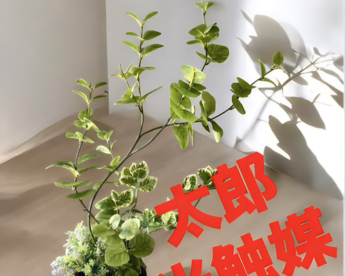 光触媒　ウォールグリーン　フェイクグリーン　ハンドメイド　ユーカリ濃い葉 光触媒 人工観葉植物 ウォールグリーン フェイクグリーン デザイン