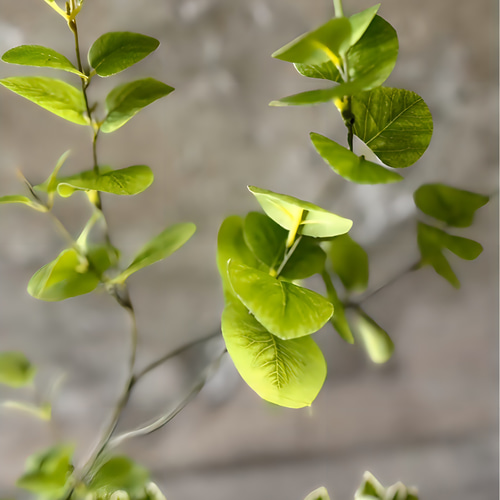 光触媒 人工観葉植物 ウォールグリーン フェイクグリーン