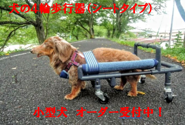 犬の４輪歩行器、小型犬歩行器（シートタイプ）