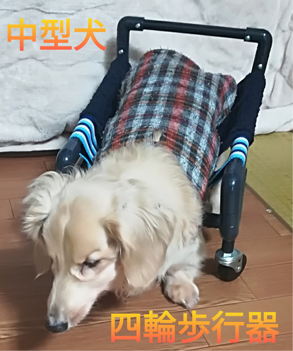 犬の4輪歩行器、中型犬歩行器（中型犬シートタイプ） ハウス