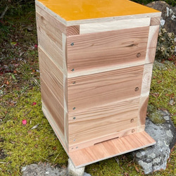 ミツバチ巣箱　黒染め加工　底板2タイプ 3段重箱　まち箱　巣落ち、暑さ対策、 日本みつばち用 飼育箱 重箱式巣箱 待ち箱 3段 セット ハウス・小屋