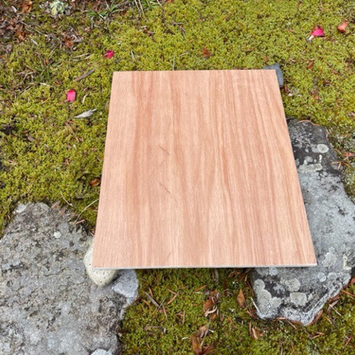 日本みつばち用 飼育箱 重箱式巣箱 待ち箱 3段 セット Amazon | 日本みつばち用 飼育箱 重箱式巣箱 待ち箱 3段 キット