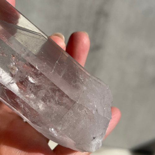 ブラジル・バイーア州 アレグレ産【ブラックファントム