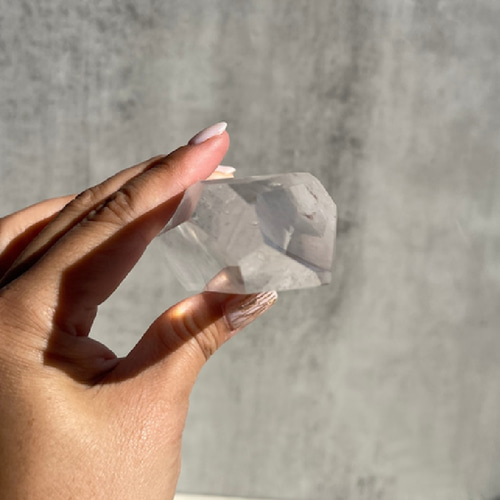 ブラジル・バイーア州 アレグレ産【ブラックファントム