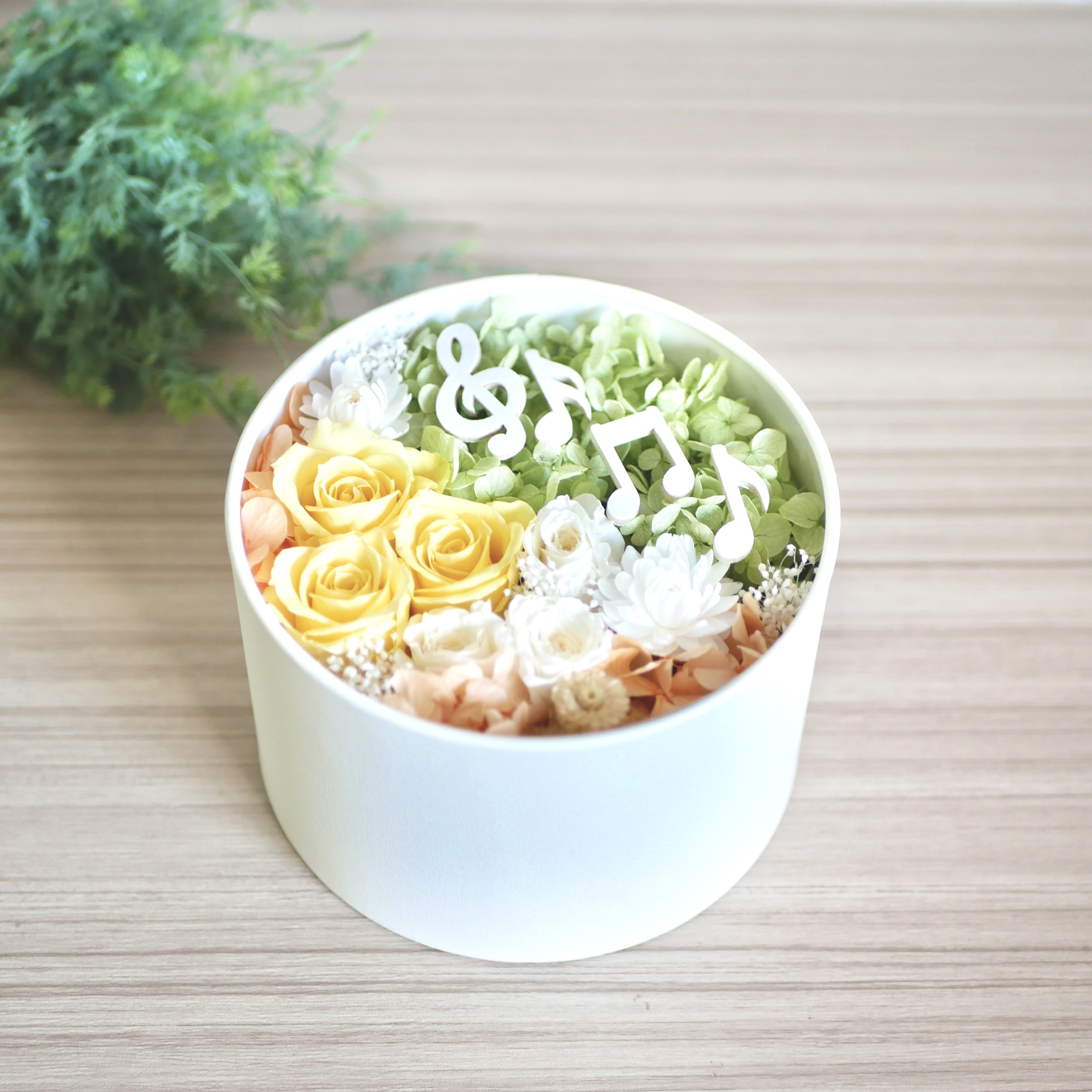 やわらかな日差しに音が咲く