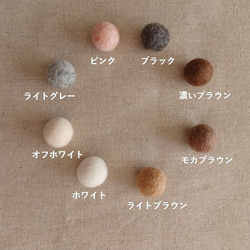  第5張的照片