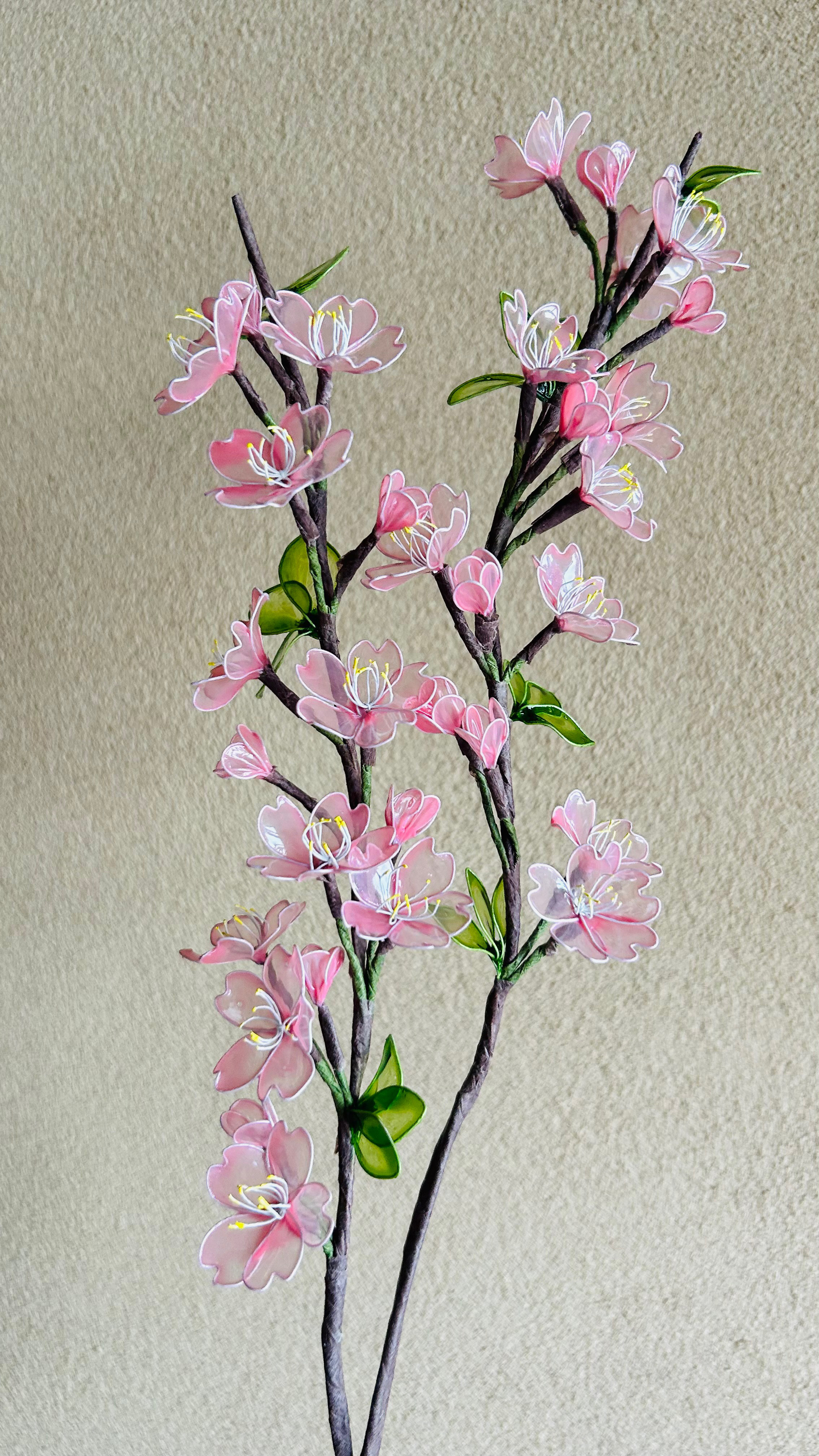 りりーアメリカンフラワー桜 りりーアメリカンフラワー桜 95fb51ef541fdb41f05fa8932c1be5