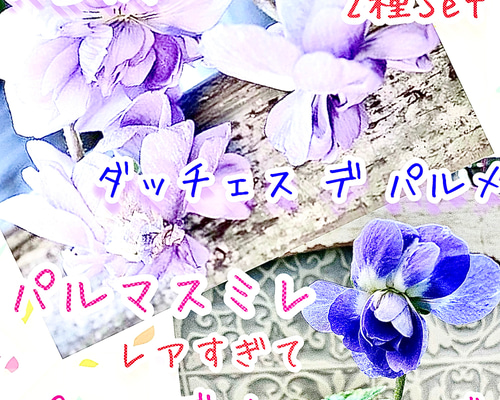 52d1329ca73a538c14cb1b1f4d9e08