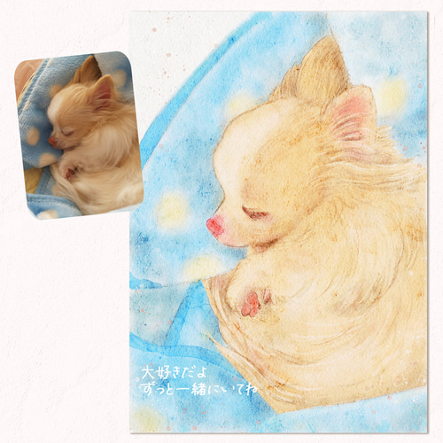 うちの子イラスト * 水彩タッチ【犬】 ペット似顔絵 イラスト うちの子イラスト * 水彩タッチ【犬】 ペット似顔絵 イラスト