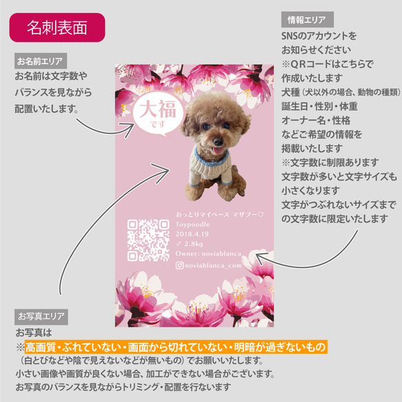 【受注後制作】フォント・写真切り抜き方を選べる ペット縦名刺 50枚 桜 6枚目の画像