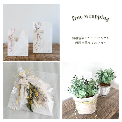 季節商品50％OFF】春 ミモザとユーカリのドライフラワースワッグ