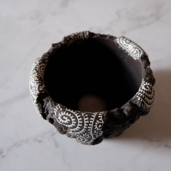 3.5号蛸唐草黒鉢887　和柄　塊根植物　多肉植物　盆栽　植木鉢　作家鉢　沖縄 4枚目の画像