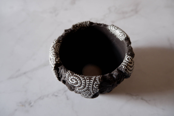 3.5号蛸唐草黒鉢887　和柄　塊根植物　多肉植物　盆栽　植木鉢　作家鉢　沖縄 4枚目の画像