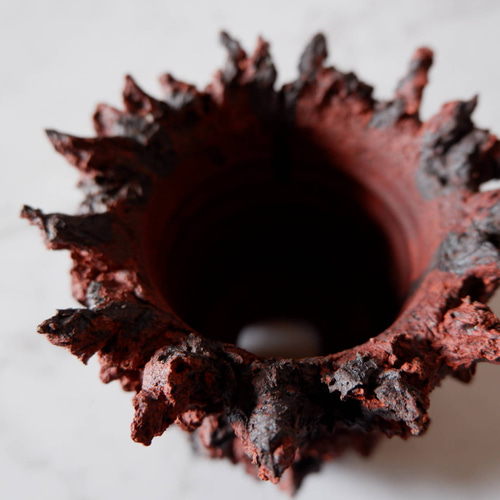 3号赤鬼鉢896 塊根植物 多肉植物 盆栽 植木鉢 作家鉢 鉢皿 沖縄