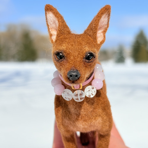 羊毛フェルト ミニチュアピンシャー