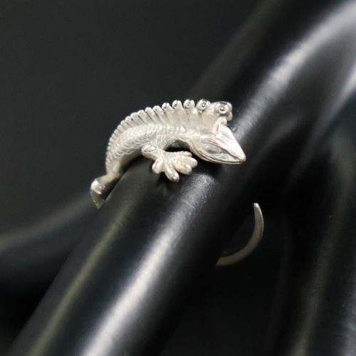 Angler lizard-Ring(sterling silver-white) 指輪・リング