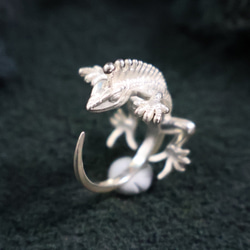 ザッキーページ　神戦士の御神輪 プラクルアン　17号　指輪　リング 楽天市場】シルバー925製 リング 戦艦船首 菊 菊紋 菊御紋 菊花