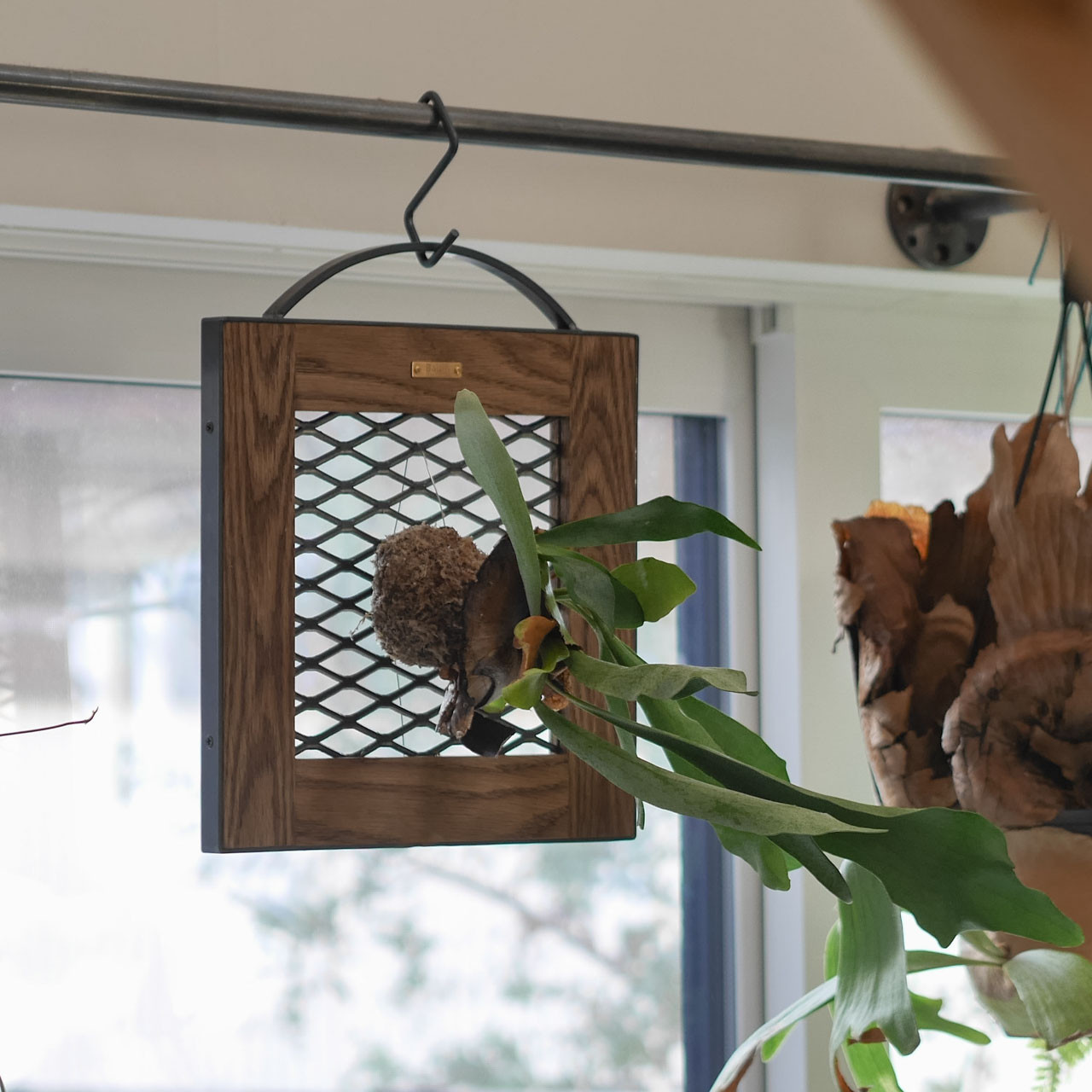 ＼送料無料／[E.E Flame Rack]ビカクシダ着生板 コウモリラン 板付け ラック アクセサリー ‐88-