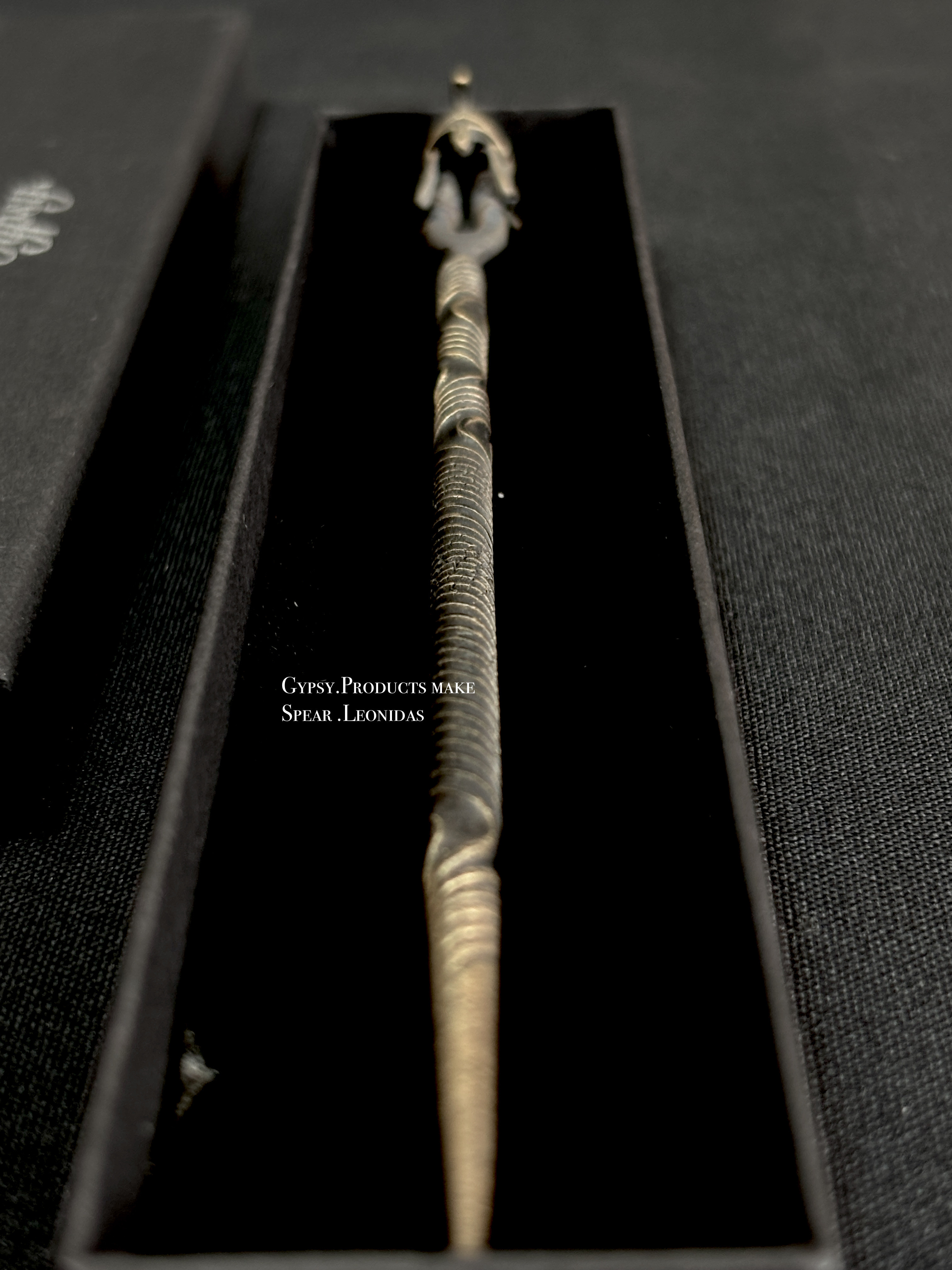 【Gypsy】leonidas (soil stick) レオニダスの槍 Agave サボテン　塊根植物 多肉植物