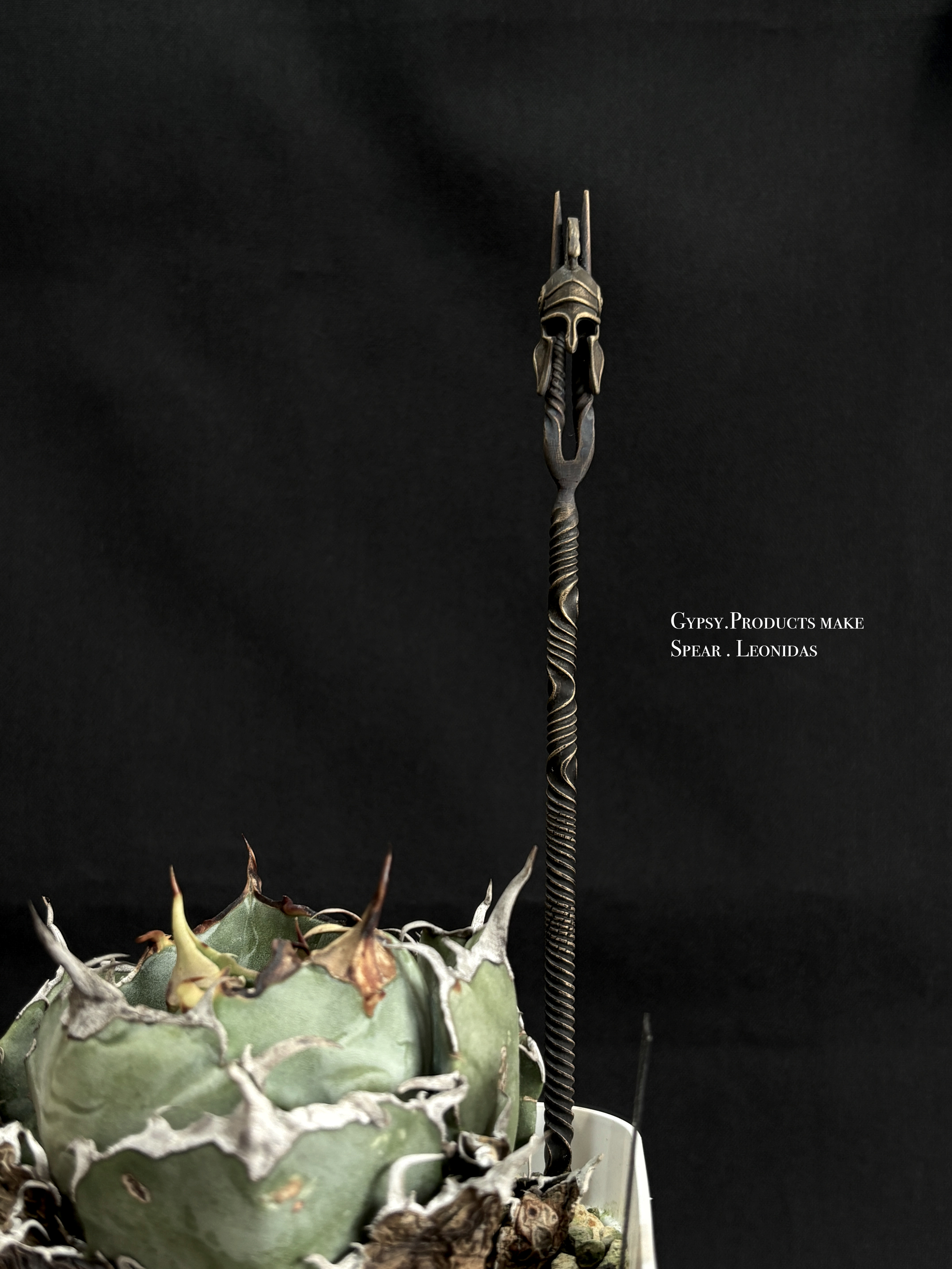 【Gypsy】leonidas (soil stick) レオニダスの槍 Agave サボテン　塊根植物 多肉植物