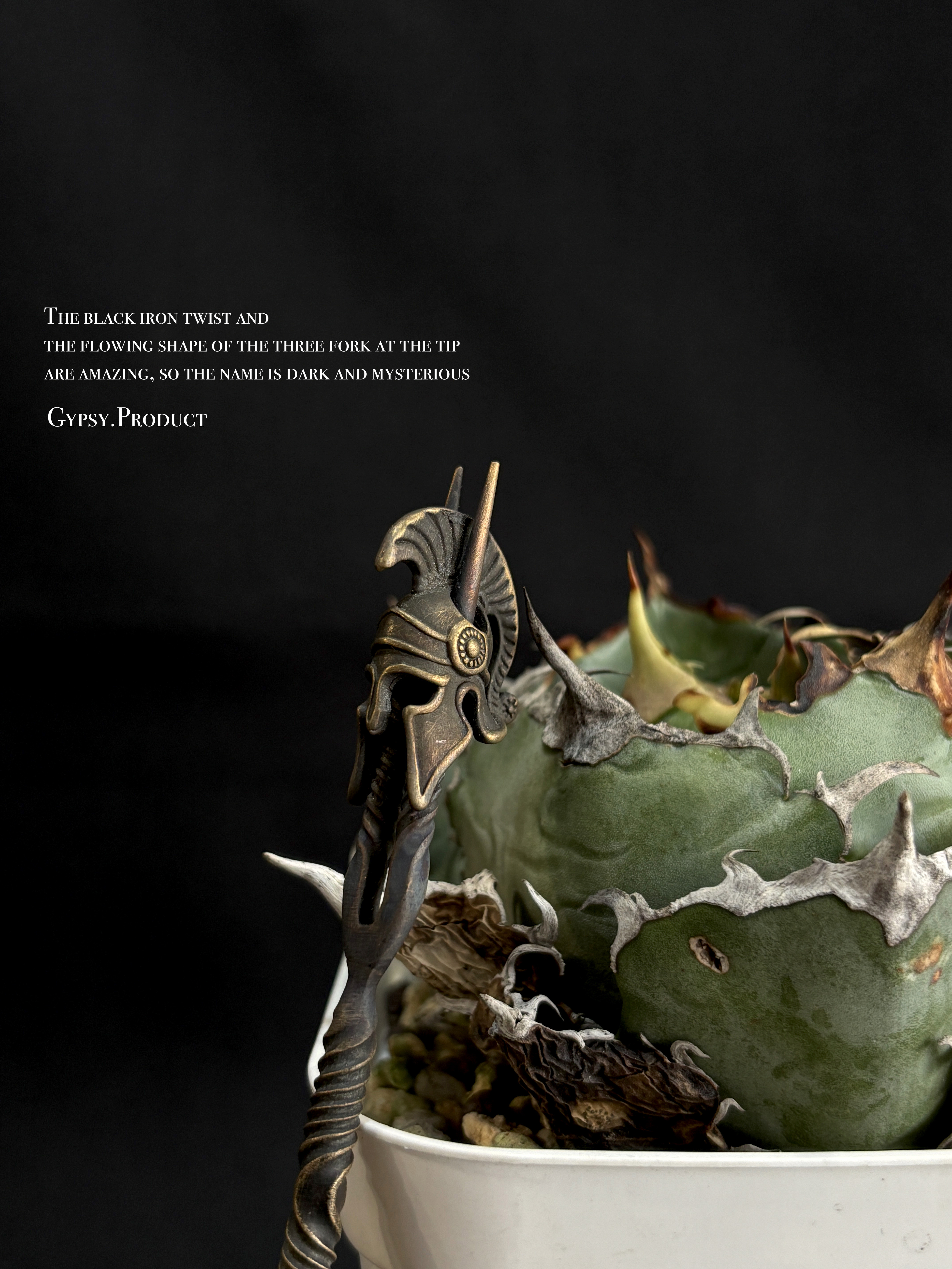 【Gypsy】leonidas (soil stick) レオニダスの槍 Agave サボテン　塊根植物 多肉植物