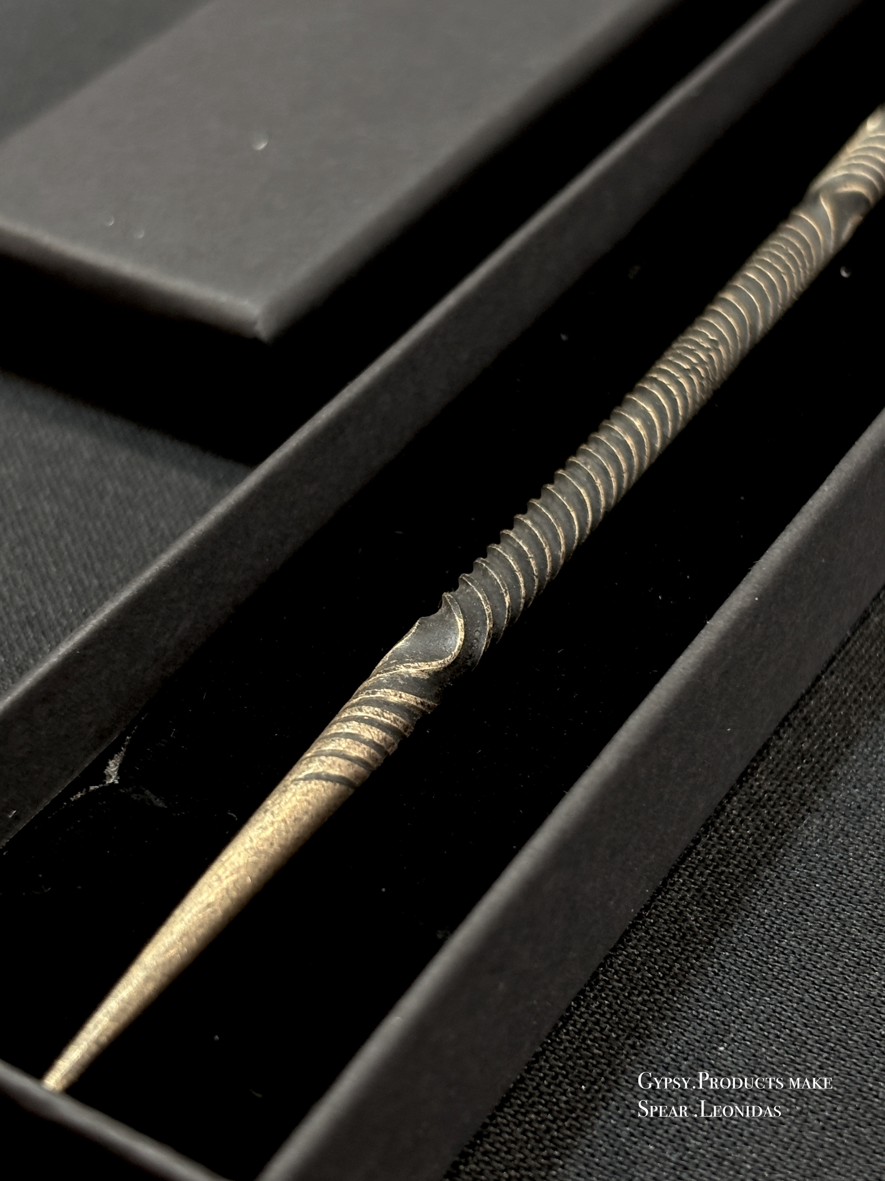 【Gypsy】leonidas (soil stick) レオニダスの槍 Agave サボテン　塊根植物 多肉植物