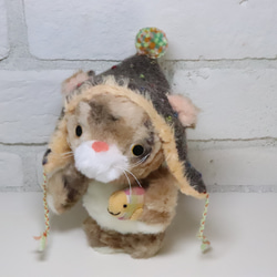 お魚抱えたにゃんこ 10枚目の画像