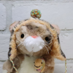 お魚抱えたにゃんこ 7枚目の画像