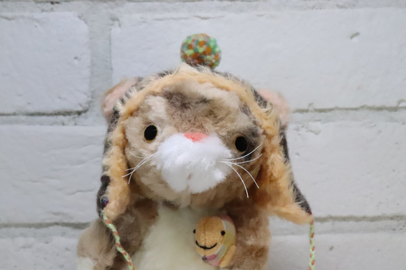 お魚抱えたにゃんこ 7枚目の画像