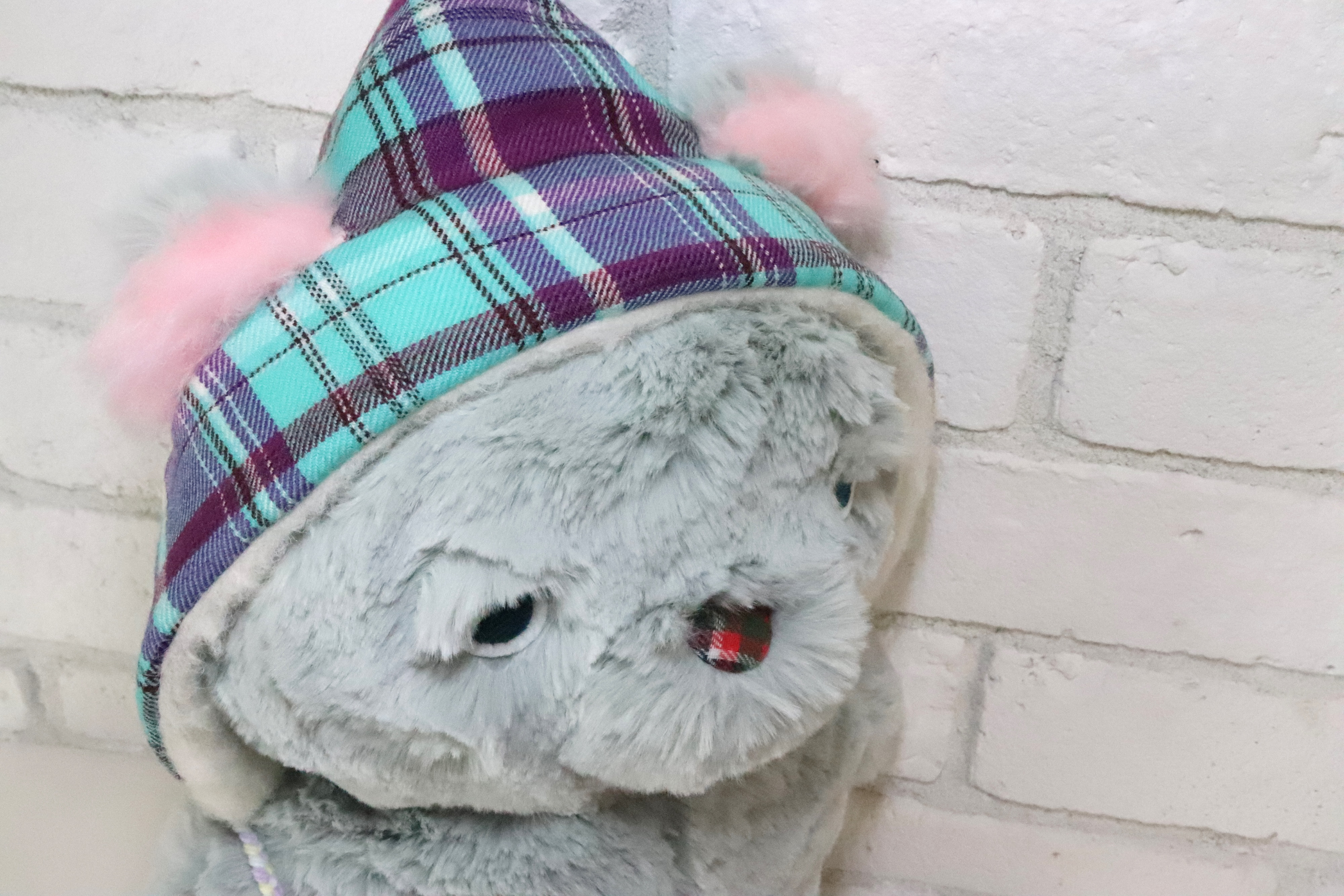 帽子でっぷりねこくん