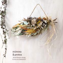 プロテア＆ミモザ ドライフラワースワッグ(横型) スワッグ fu.wa.ran