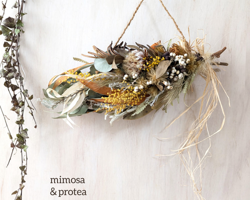 専用＊プロテア&ミモザ　ドライフラワースワッグ プロテア＆ミモザ ドライフラワースワッグ(横型) スワッグ fu.wa.ran