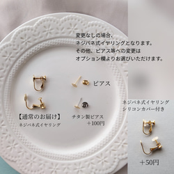  第6張的照片