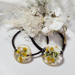 No 797♣︎大人可愛いレジンヘアゴム♣︎かすみ草♣︎٩(๑❛ᴗ❛๑)۶ No 797♣︎大人可愛いレジンヘアゴム♣︎かすみ草♣︎٩(๑❛ᴗ❛