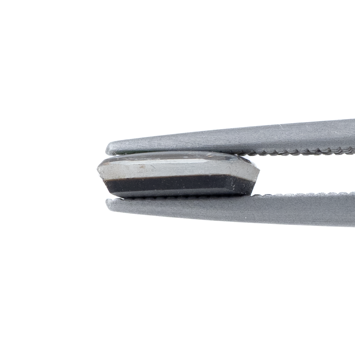 【古代の輝きをルースに】アンモライト 1.25ct