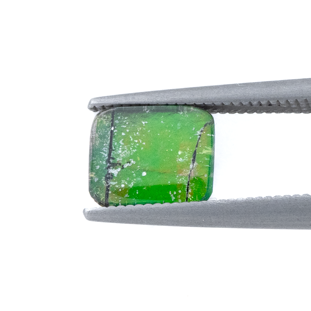 【古代の輝きをルースに】アンモライト 1.25ct