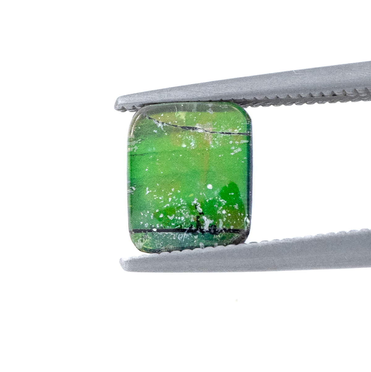 【古代の輝きをルースに】アンモライト 1.25ct