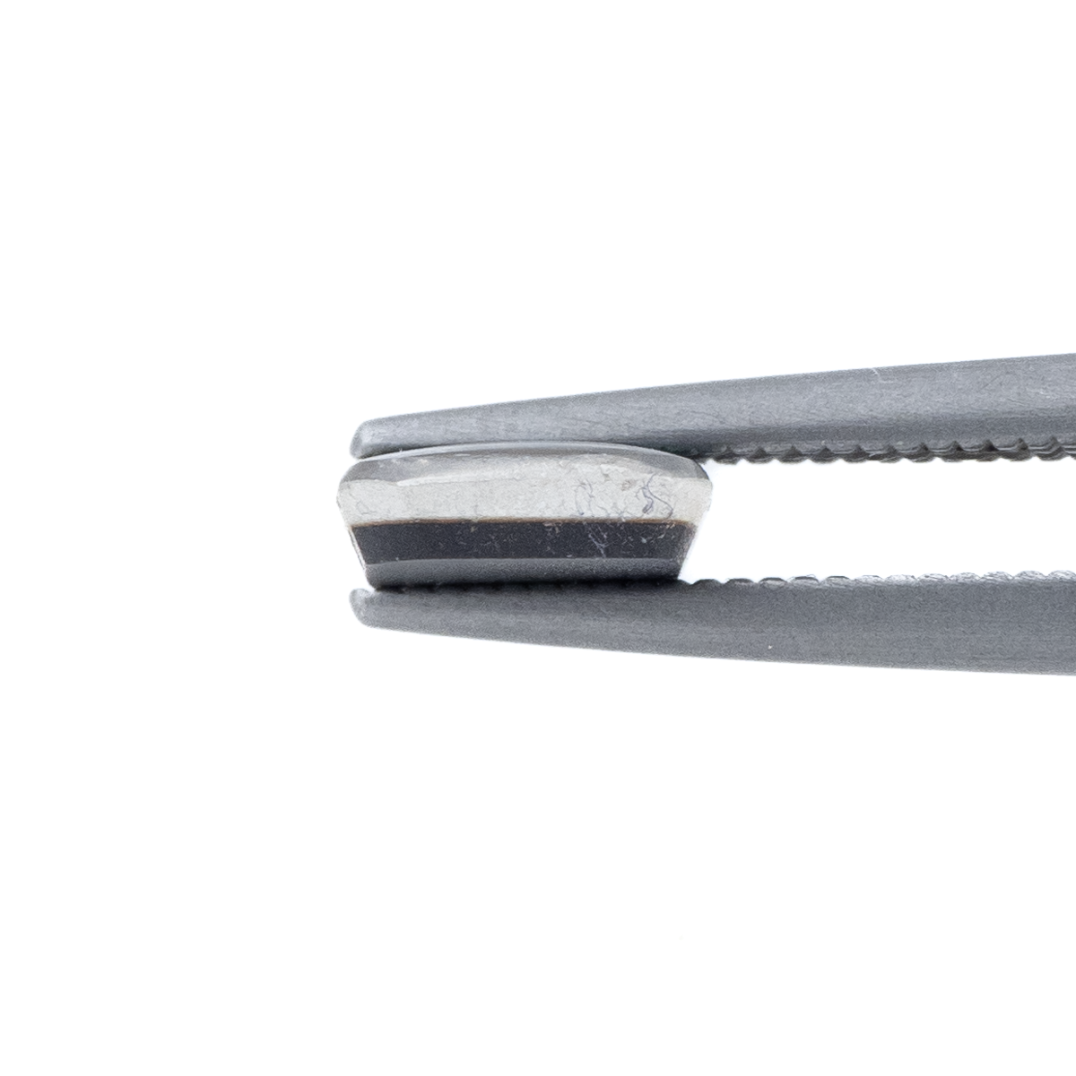 【古代の輝きをルースに】アンモライト 1.25ct