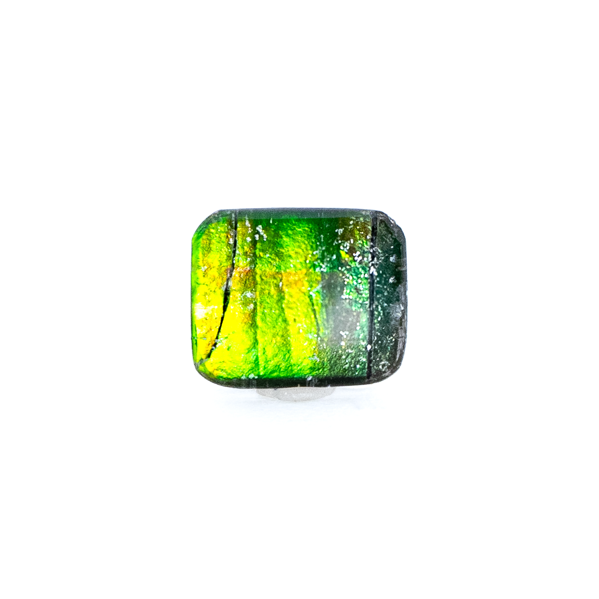 【古代の輝きをルースに】アンモライト 1.25ct