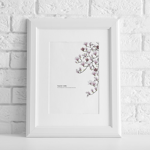 マグノリアの木　水彩画　ホワイト額入り 水彩画 原画 花 木蓮 マグノリア 井上美香代 ホルベイン 真作 絵 絵画