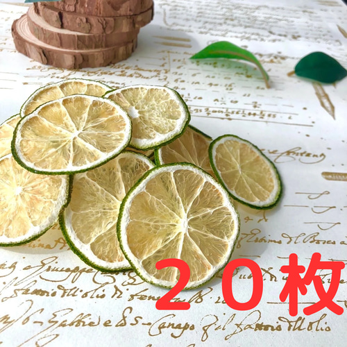 ドライライム 20枚 ドライフルーツ 花材 素材 その他素材 Rycaon